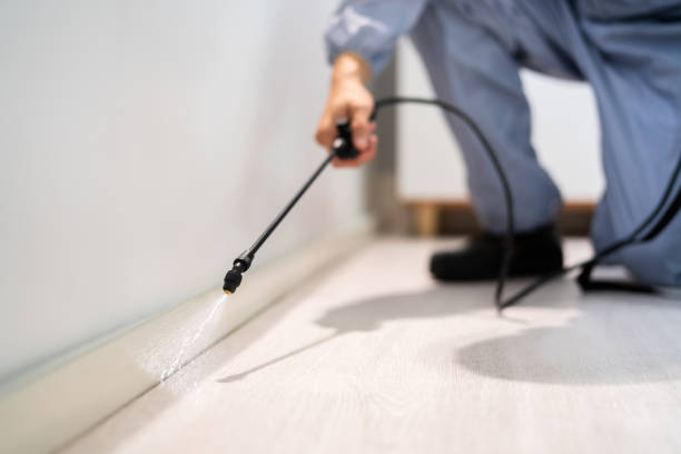 Licensed Cockroach Control service in Davie, FL - Nex Pest Control