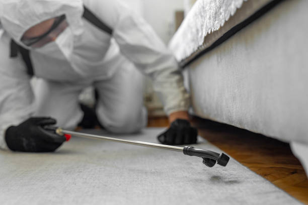 Professional Cockroach Control technician working in Davie, FL