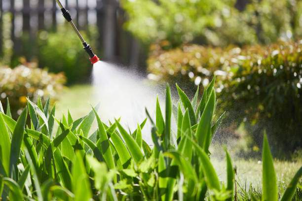 24/7 Emergency Cockroach Control experts in Davie, FL