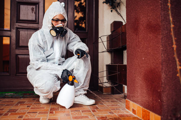Reliable Cockroach Control contractor in Davie, FL by Nex Pest Control