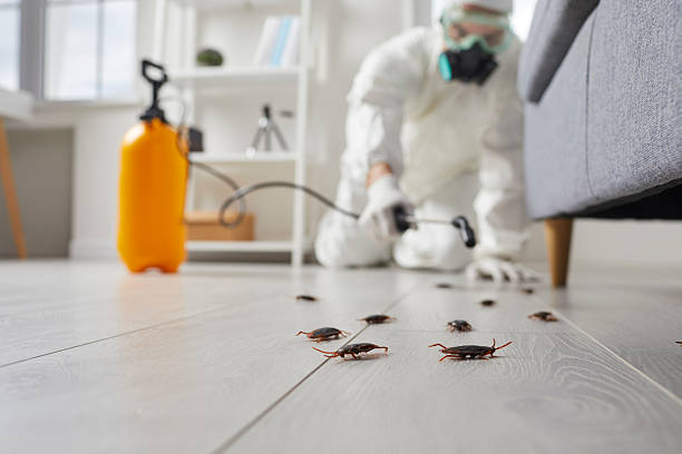 Affordable Cockroach Control solutions in Davie, FL